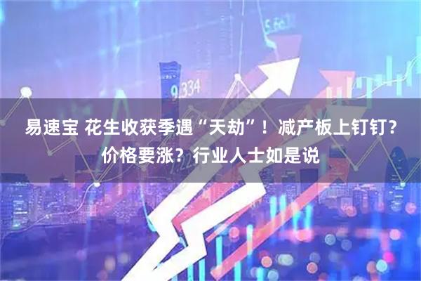 易速宝 花生收获季遇“天劫”!减产板上钉钉?价格要涨?行业人士如是说