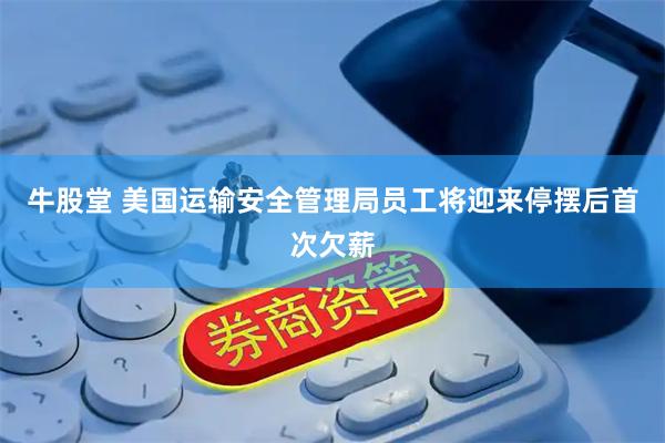 牛股堂 美国运输安全管理局员工将迎来停摆后首次欠薪