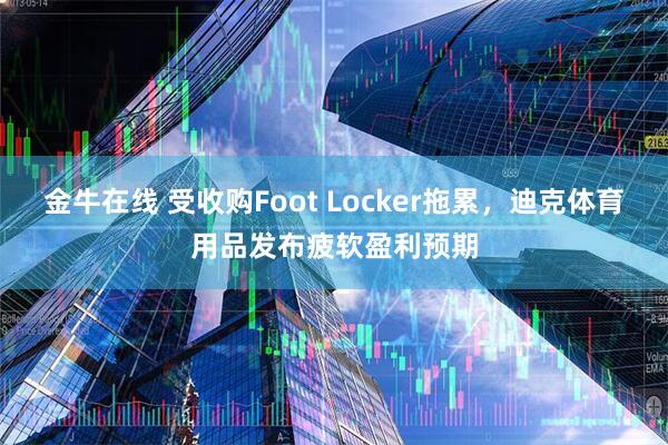 金牛在线 受收购Foot Locker拖累，迪克体育用品发布疲软盈利预期