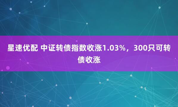 星速优配 中证转债指数收涨1.03%，300只可转债收涨