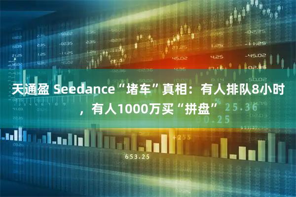 天通盈 Seedance“堵车”真相：有人排队8小时，有人1000万买“拼盘”