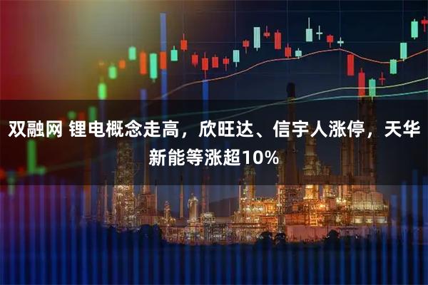 双融网 锂电概念走高，欣旺达、信宇人涨停，天华新能等涨超10%